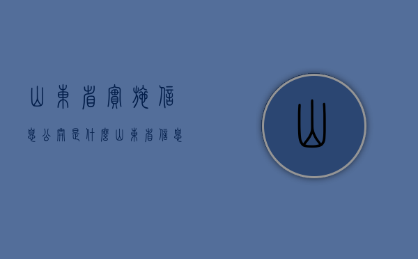 山东省实施信息公开是什么（山东省信息公开管理办法）