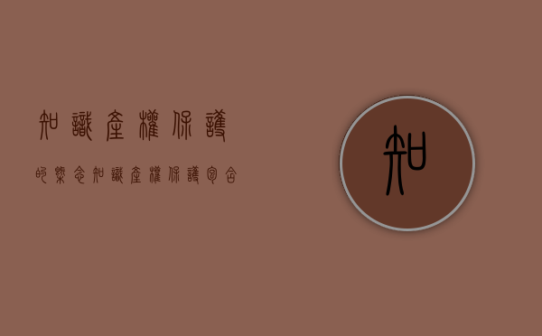 知识产权保护的概念（知识产权保护包含哪几方面的保护内容）