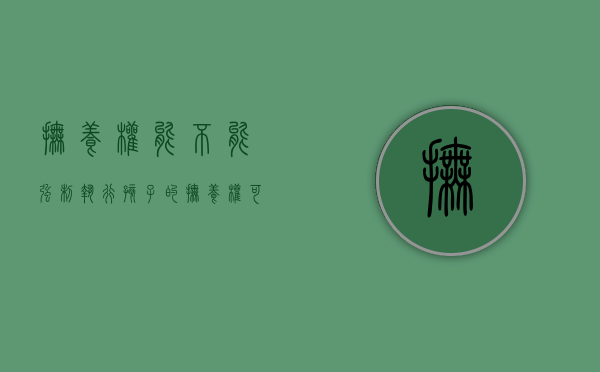 抚养权能不能强制执行（孩子的抚养权可以强制执行吗）