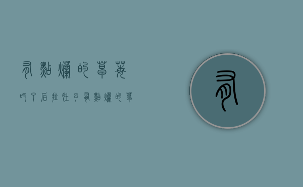 有点烂的草莓吃了后拉肚子（有点烂的草莓可以吃吗图片）
