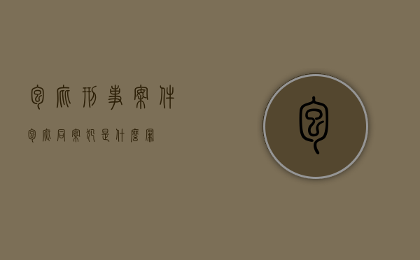 包庇刑事案件（包庇同案犯是什么罪）