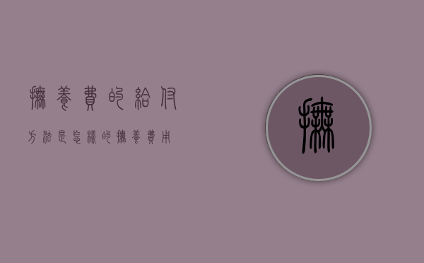 抚养费的给付方法是怎样的（抚养费用）