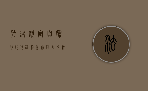 法律规定自愿形成的权利义务关系是什么样？（权利和义务相对应原则）