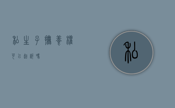 私生子抚养权可以起诉吗