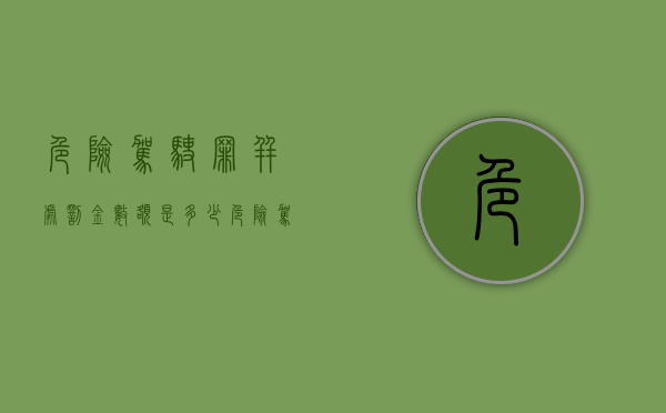 危险驾驶罪并处罚金数额是多少（危险驾驶罪并处罚金数额标准）