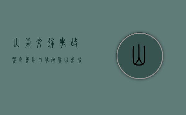 山东交通事故鉴定费用由谁承担（山东省车祸）