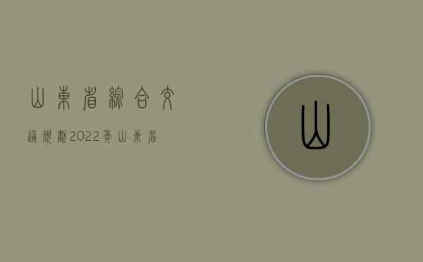 山东省综合交通规划（2022年山东省交通事故赔偿标准是怎么样的？）
