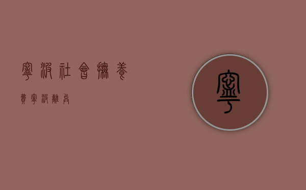 宁波 社会抚养费（宁波离异）