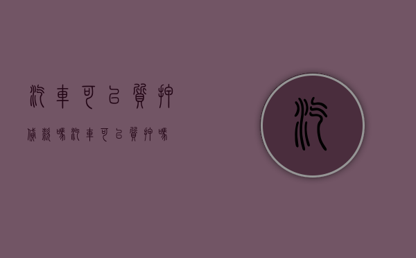 汽车可以质押贷款吗（汽车可以质押吗）