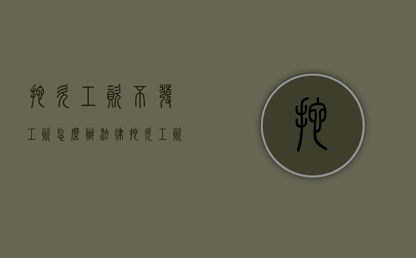 拖欠工资不发工资怎么办法律（拖欠工资不发放怎么办）