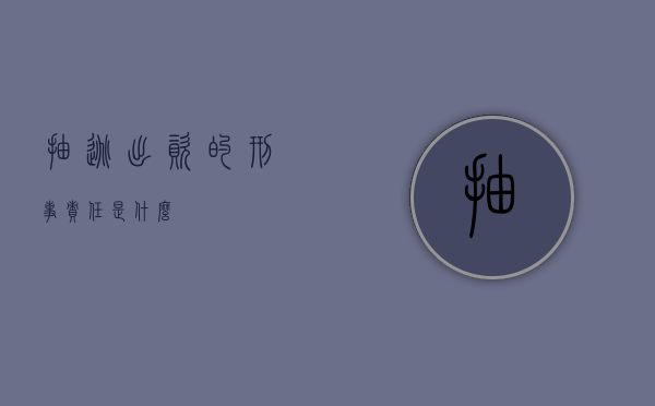 抽逃出资的刑事责任是什么