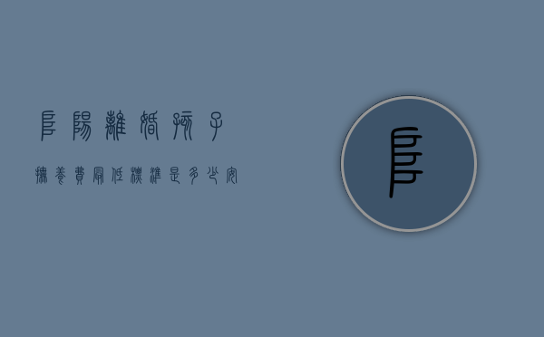 阜阳离婚孩子抚养费最低标准是多少（安徽阜阳抚养费一个月多少钱）