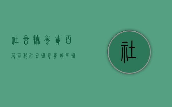 社会抚养费百度百科（社会抚养费到底抚养了些什么）
