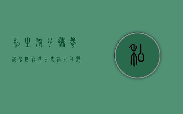 私生孩子抚养权怎么判（孩子是私生,父亲有抚养权吗）