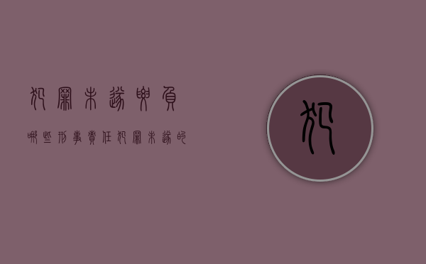 犯罪未遂要负哪些刑事责任（犯罪未遂的处罚规定）