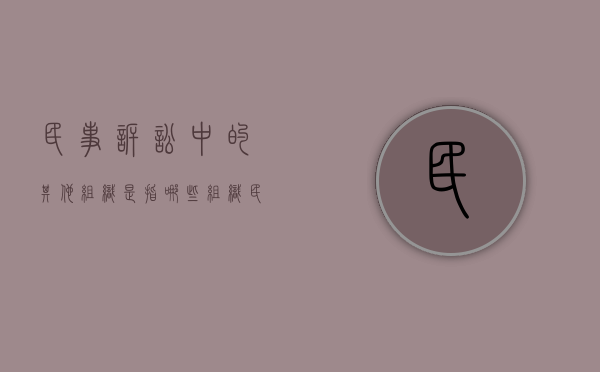 民事诉讼中的其他组织是指哪些组织（民事诉讼法规定的其他诉讼参与人包括）