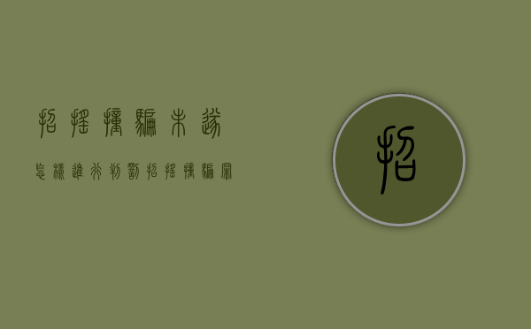 招摇撞骗未遂怎样进行判罚（招摇撞骗罪数额巨大的标准）
