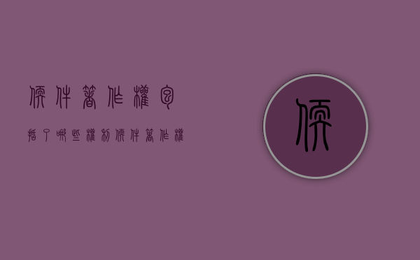 软件著作权包括了哪些权利（软件著作权有价值吗）