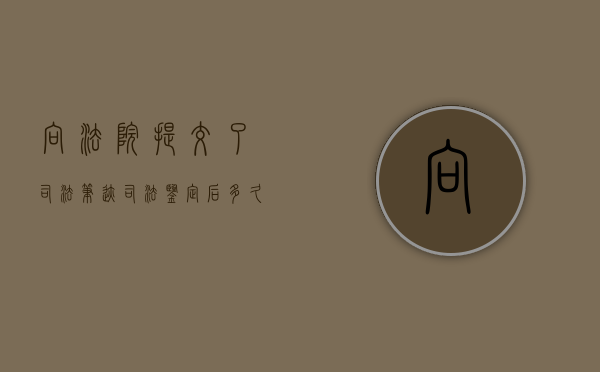 向法院提交了司法笔迹司法鉴定后多久有结论？（司法鉴定笔迹鉴定必须原件吗）