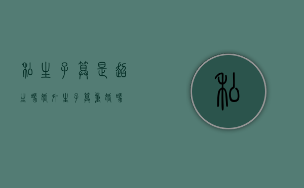 私生子算是超生吗（婚外生子算重婚吗?）
