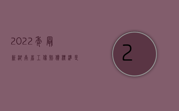 2022年最新湖南省工伤赔偿标准是什么呢（2022年最新湖南省工伤赔偿标准是什么）