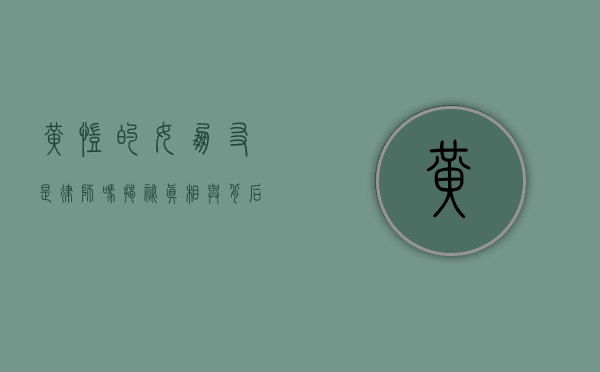 黄凯的女朋友是律师吗？揭秘真相与背后的故事
