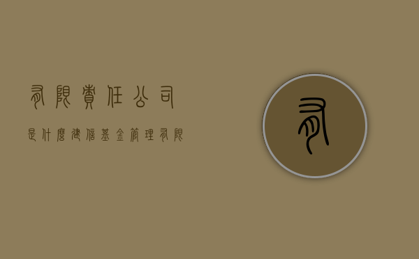 有限责任公司是什么（建信基金管理有限责任公司是什么）