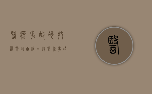 医疗事故的技术鉴定由谁主持（医疗事故技术鉴定组织）