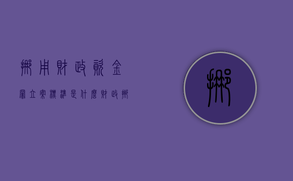 挪用财政资金罪立案标准是什么（财政挪用公款）