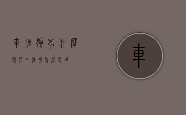 车撞狗有什么说法（车撞狗怎么处理）