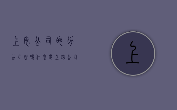 上市公司的分公司好吗（什么是上市公司分立）