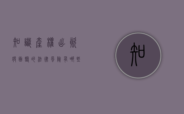 知识产权出资将面临的法律风险有哪些（知识产权出资的规则）