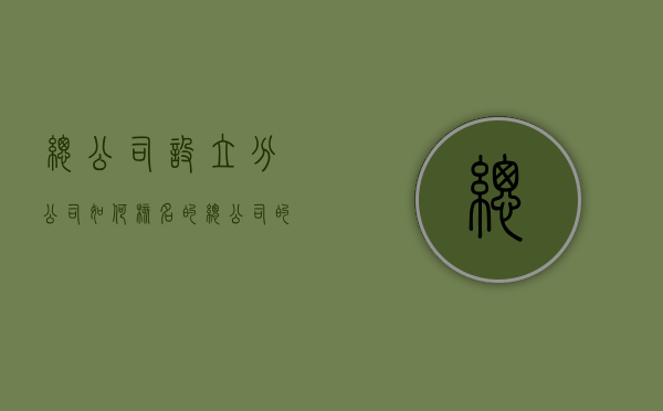 总公司设立分公司如何核名的（总公司的分公司是怎么注册的）