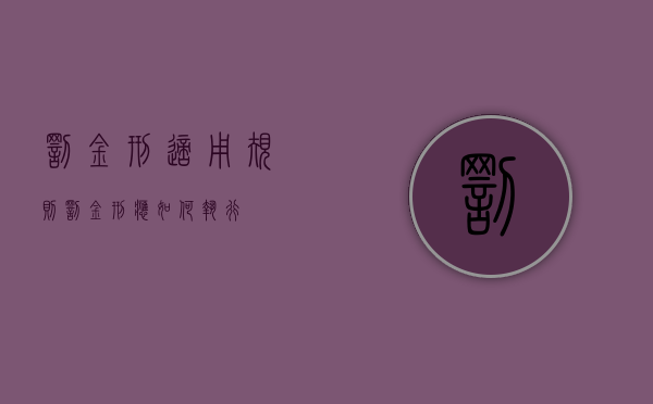 罚金刑适用规则（罚金刑应如何执行）