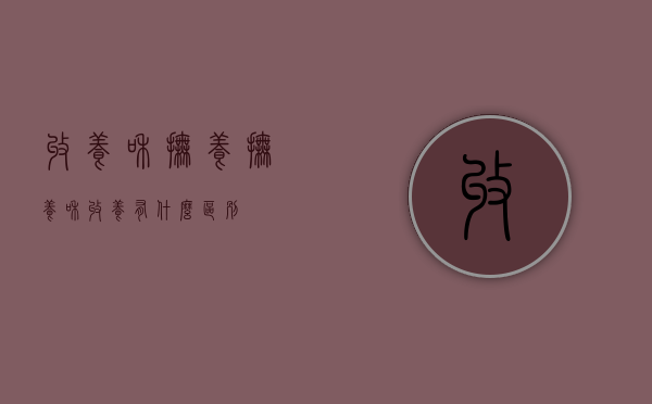 收养和抚养（抚养和收养有什么区别）