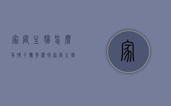 家庭主妇怎么争孩子抚养权呢（家庭主妇怎么争夺孩子抚养权）