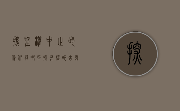 探望权中止的条件有哪些（探望权的含义）