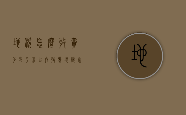 地税怎么收费多少平米以内收费（地税怎么收费怎么补交医保）