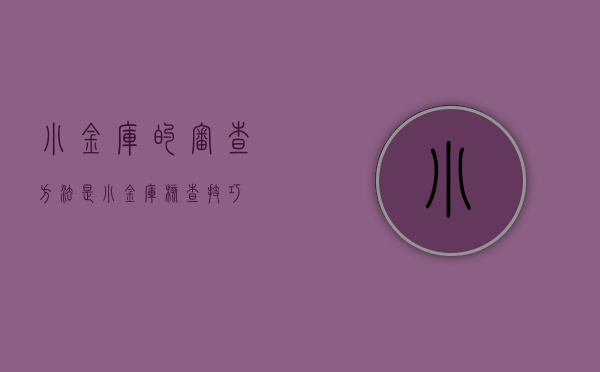 小金库的审查方法是（小金库核查技巧）