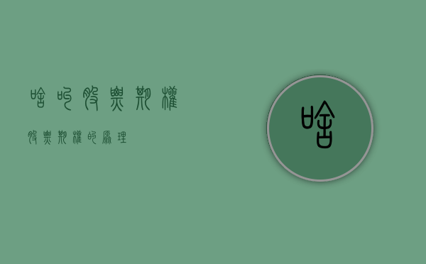 啥叫股票期权（股票期权的原理）