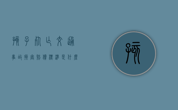 孩子死亡交通事故损害赔偿标准是什么？（小孩子出车祸死亡赔偿）