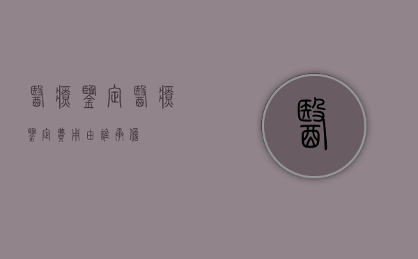 医疗鉴定（医疗鉴定费用由谁承担）