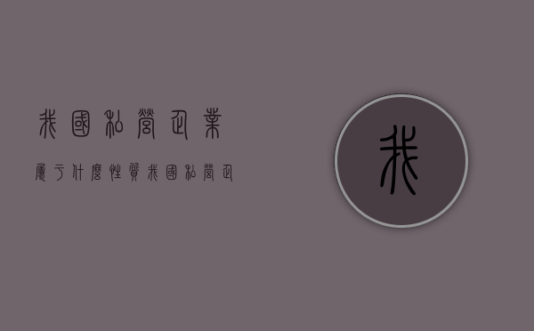 我国私营企业属于什么性质（我国私营企业分为什么）