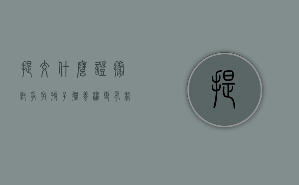 提交什么证据对争取孩子抚养权更有利（争夺孩子抚养权需要收集什么证据）