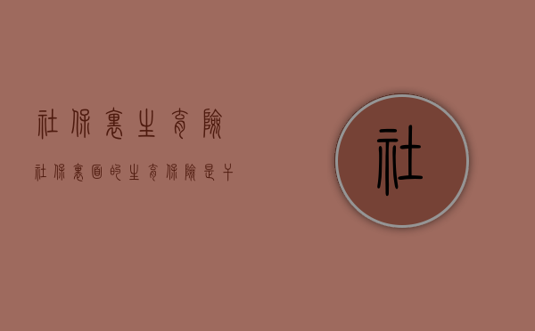 社保里生育险（社保里面的生育保险是干嘛的）