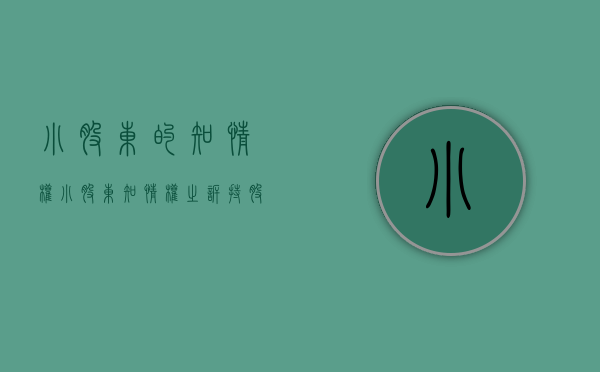 小股东的知情权（小股东知情权之诉 持股比例）