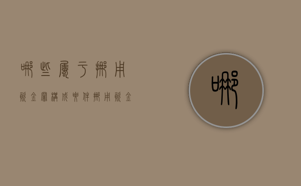 哪些属于挪用资金罪构成要件（挪用资金罪定罪）