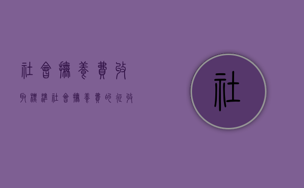 社会抚养费收取标准（社会抚养费的征收标准）