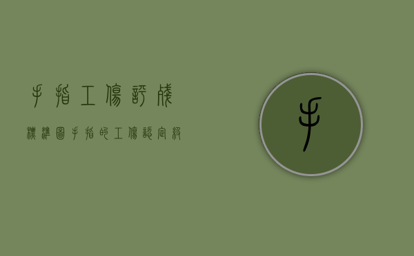 手指工伤评残标准图（手指的工伤认定级别的鉴定规定）