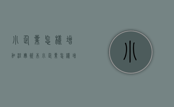 小企业怎样增加注册资本（小企业怎样增加注册资本金）